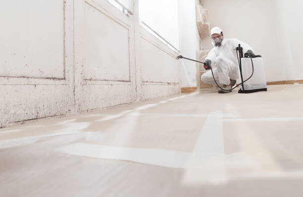 24/7 Emergency Black Mold Remediation experts in Bartlett, IL