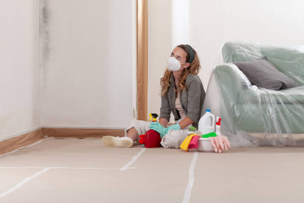 Reliable Black Mold Remediation contractor in Bartlett, IL by Car Mold Remediation